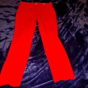 Gap Pants with Floral Cuffs